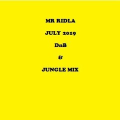 Mr Ridla DnB Jungle Mix July2019