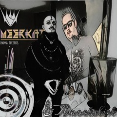 Meerkat & Amortalist - Buy A Toaster- Demo