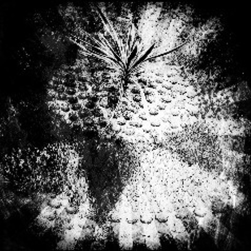 Life below the surface (original mix)