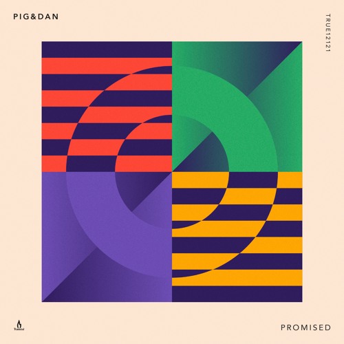 Pig&Dan - Promised (Raxon Remix) Out Now - Truesoul