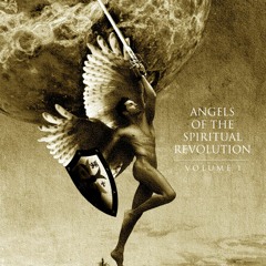 Angels of the Spiritual Revolution | Vol 1