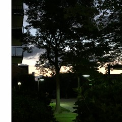 HOME (STARDUST SHORE)