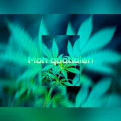 Mvel x H47  Quotidien