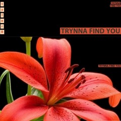 Trynna Find You