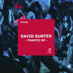 David Gunter - Traffic (Original Mix)