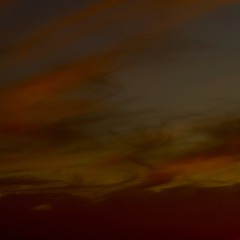 untitled composition (spring, 2004)