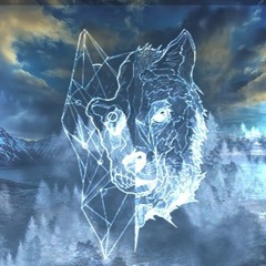 WolfSkin - Deception