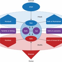 #043: Knowledge of Self: An Islamic Model of the Soul w/ Abdallah Rothman