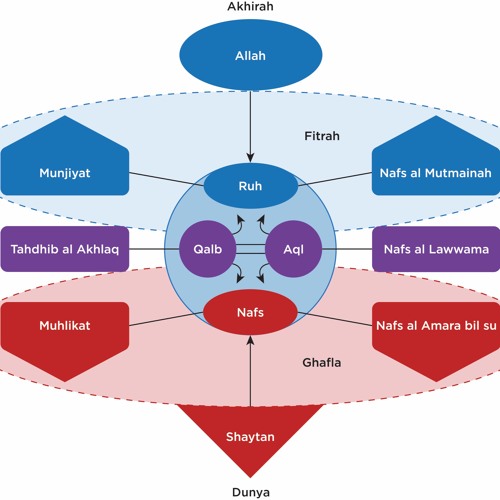 #043: Knowledge of Self: An Islamic Model of the Soul w/ Abdallah Rothman