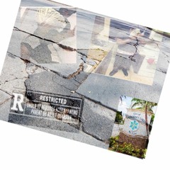 Loafer Kelt X Cam Zoe - Cash Money