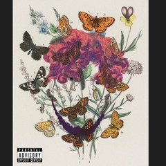 The Aspirations Of A Butterfly