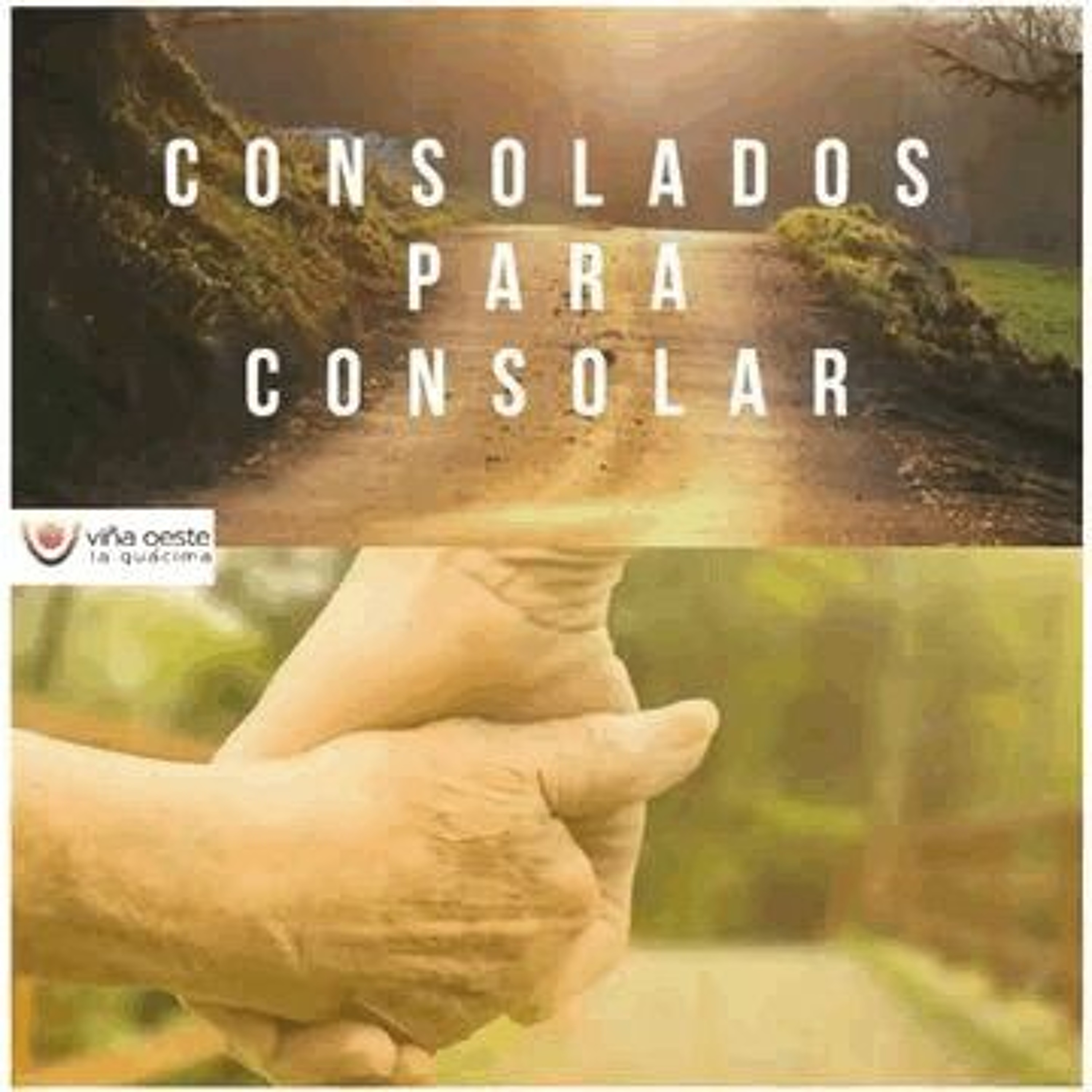 Viña Oeste La Guácima
