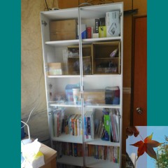 Poverty Bookcase Display