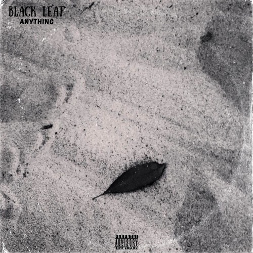 Black Leaf - Anything