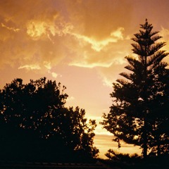 I think of You (Rodriquez)