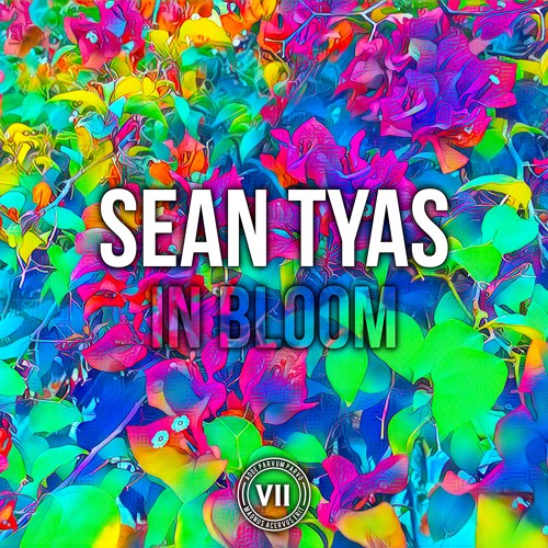 Sean Tyas - In Bloom (SoundCloud Teaser) [VII]