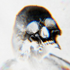 DECAYED [@KNEELTODISEASE SAMPLE CHALLENGE]