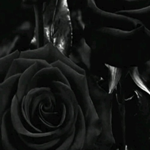Stream اغنية فيلم قصة حب By Black Rose Listen Online For Free On Soundcloud