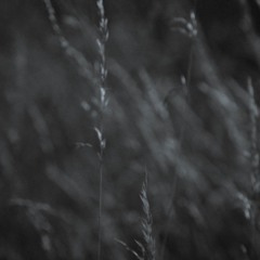 The Loom Turns (Cofion Cynnes am Davies)