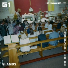 Shamos 03.07.19 (NTS)