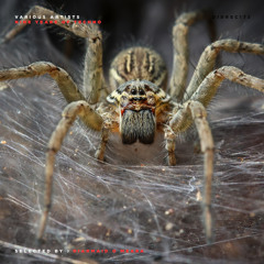 Ken Ishii - Malfunction Manipulation (The Lady Machine Remix)