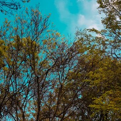 داليا - ترا حقي (حصريا) | 2019