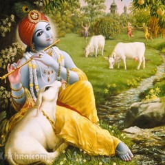 Tarana Chaitanya Das - Joy Of Krishna Consciousness