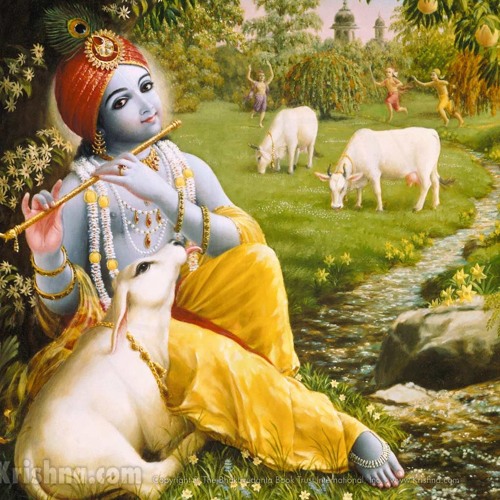 Tarana Chaitanya Das - Joy Of Krishna Consciousness