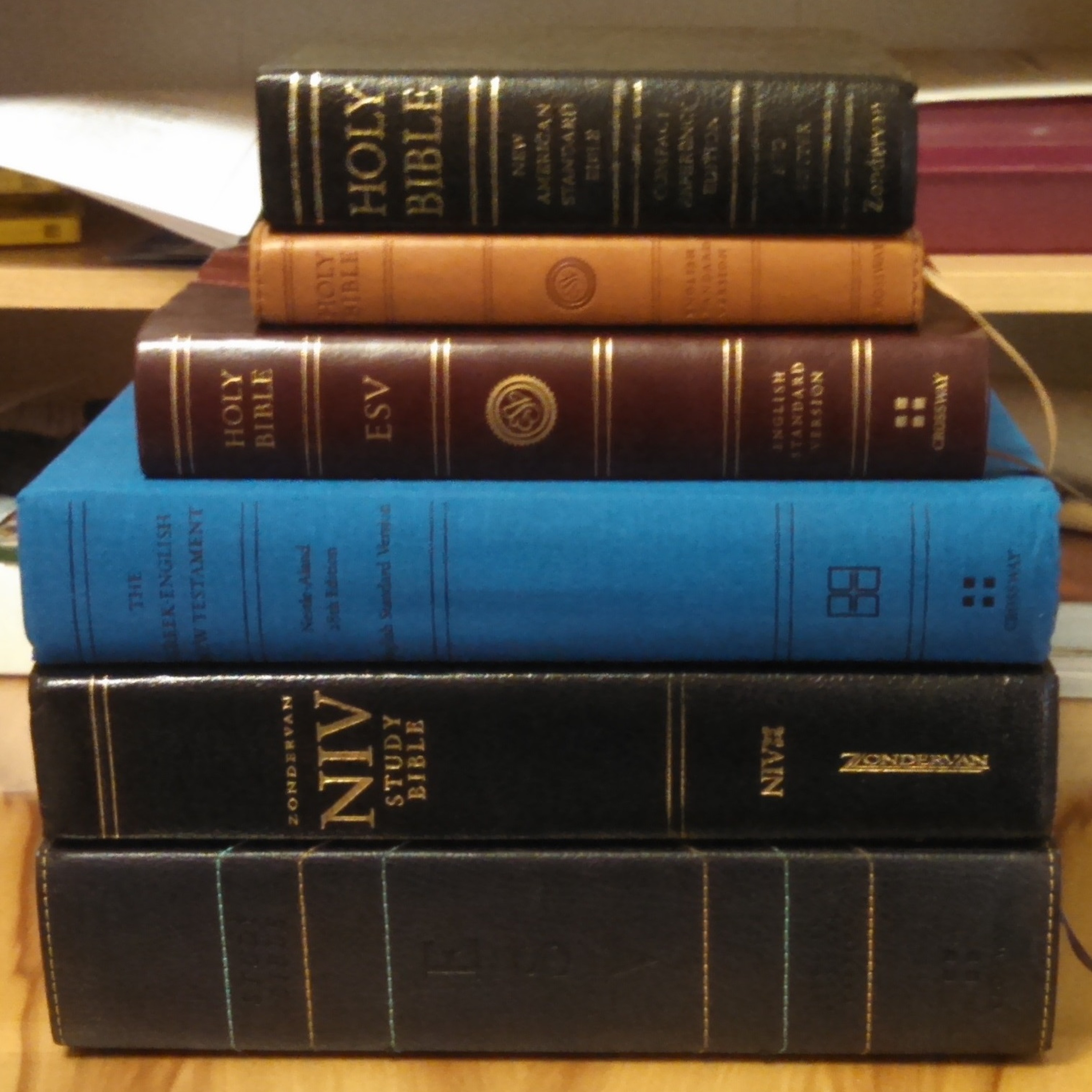 Episode 95: "Does Sunnybrook Use the Right Bible Translation?" episode artwork