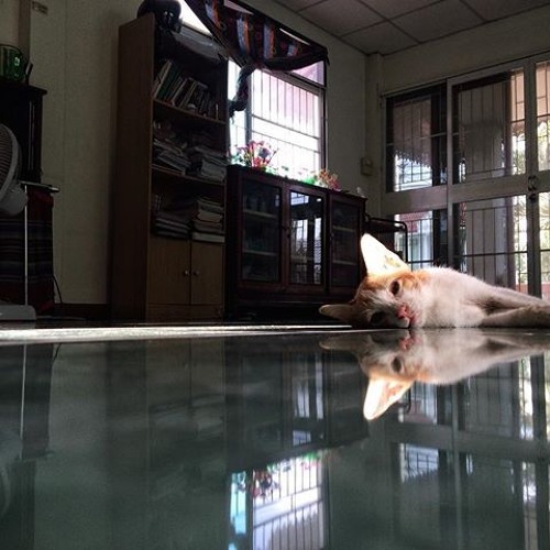 # ไม่จำเป็น (demo)