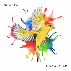Canary (Love Mix)