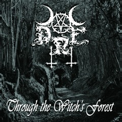 DARK RAIN FOREST-  For All Witches