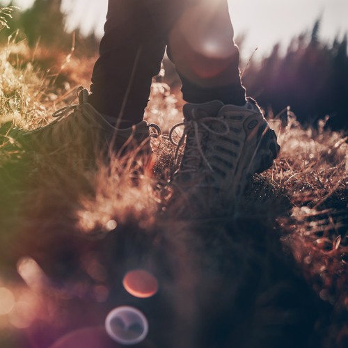 You, The Miracle Walking