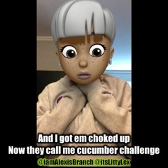 Megatron Challenge