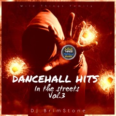 DanceHall Hits In The Streets Vol.3 DjBrimStone
