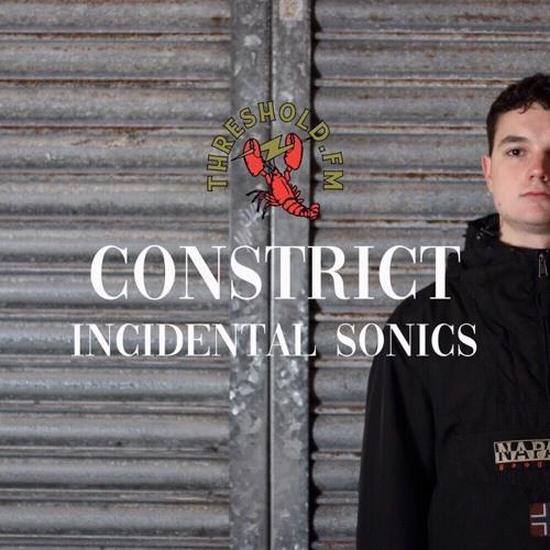 Incidental Sonics Ep. 4 [Threshold FM]