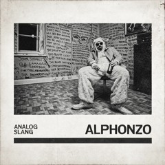 Alphonzo - Analog Slang LP Snippet