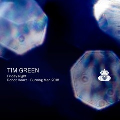 Tim Green - Robot Heart - Burning Man 2018