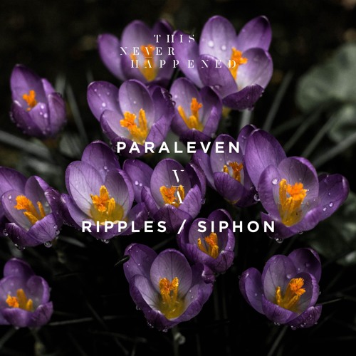 Ripples (Extended Mix)