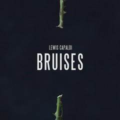 Lewis Capaldi Vs Crystal Waters  - Bruises (Ste Ingham Remix