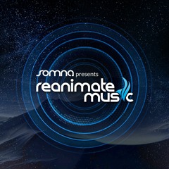 Reanimate Music 040