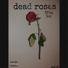 DEAD ROSES