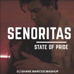 Señoritas State of Pride- Y.Yahel, M. Avrahami, A. Estrada, Shane Marcus Mashup (FREE DOWNLOAD!)