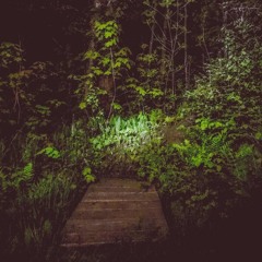 I Think We Had To Go Left