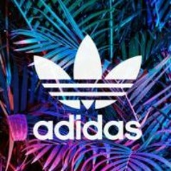 Bam Bam DIGITAL NATURE MIX (Dj Alex MIX EP)