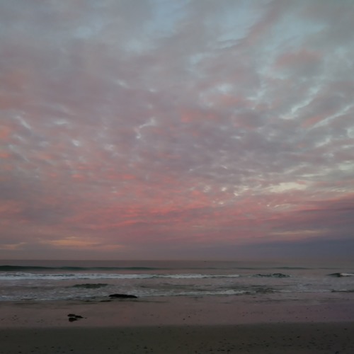 Another wave of more something or other