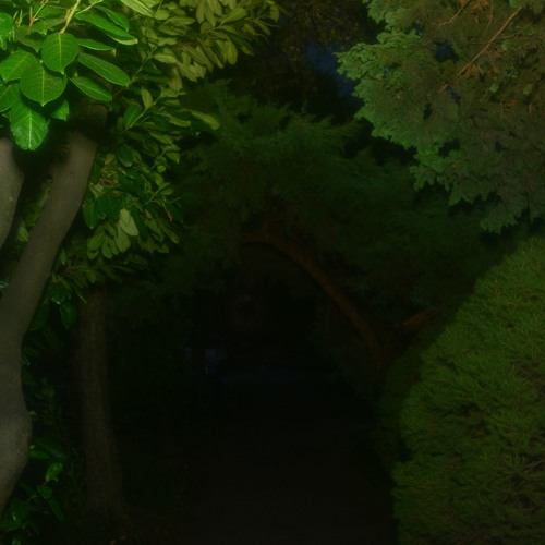 proximal/distal - Colfax, 4.a.m. [unmastered]