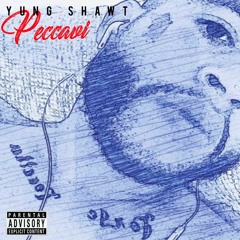 Yung Shawt - Peccavi ( Official Audio )
