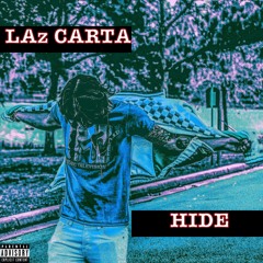 Hide