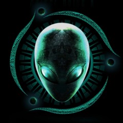 SCIONAUGH -  CONSTANTLY CURIOUS - SPINNIN' HEADS REMIX